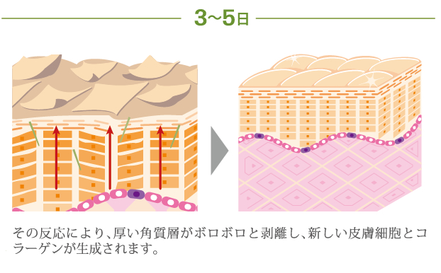 ハーバルシーの作用