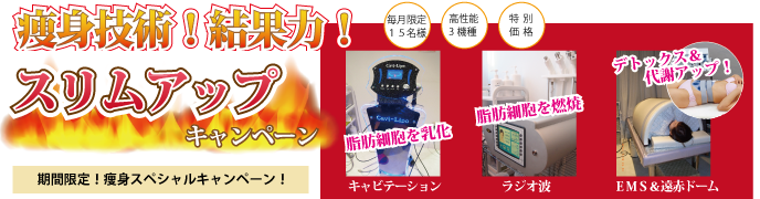 スリムアップ2013 スリムアップ2013